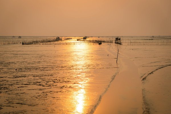 Découvrir les parcs naturels à vélo : le Guide Ultime