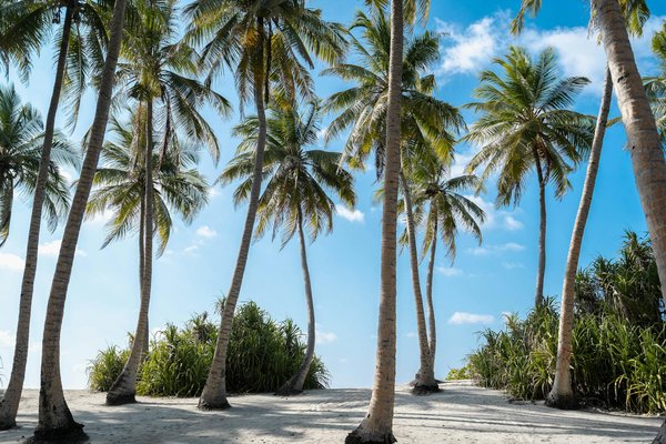 Découvrez les meilleures cabanes en dordogne pour votre escapade tranquille