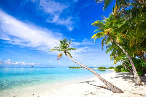 Découvrir la gastronomie locale lors d'un séjour en igloo